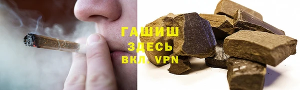 шишки Верея