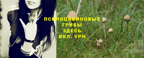 ешки Осинники