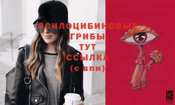 Альфа ПВП Переславль-Залесский