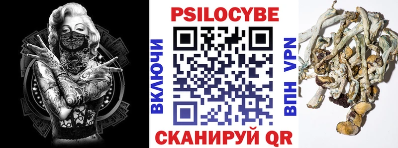 Псилоцибиновые грибы мицелий  Электроугли 
